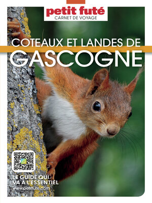 cover image of Guide Coteaux Et Landes De Gascogne 2025 Carnet Petit Futé